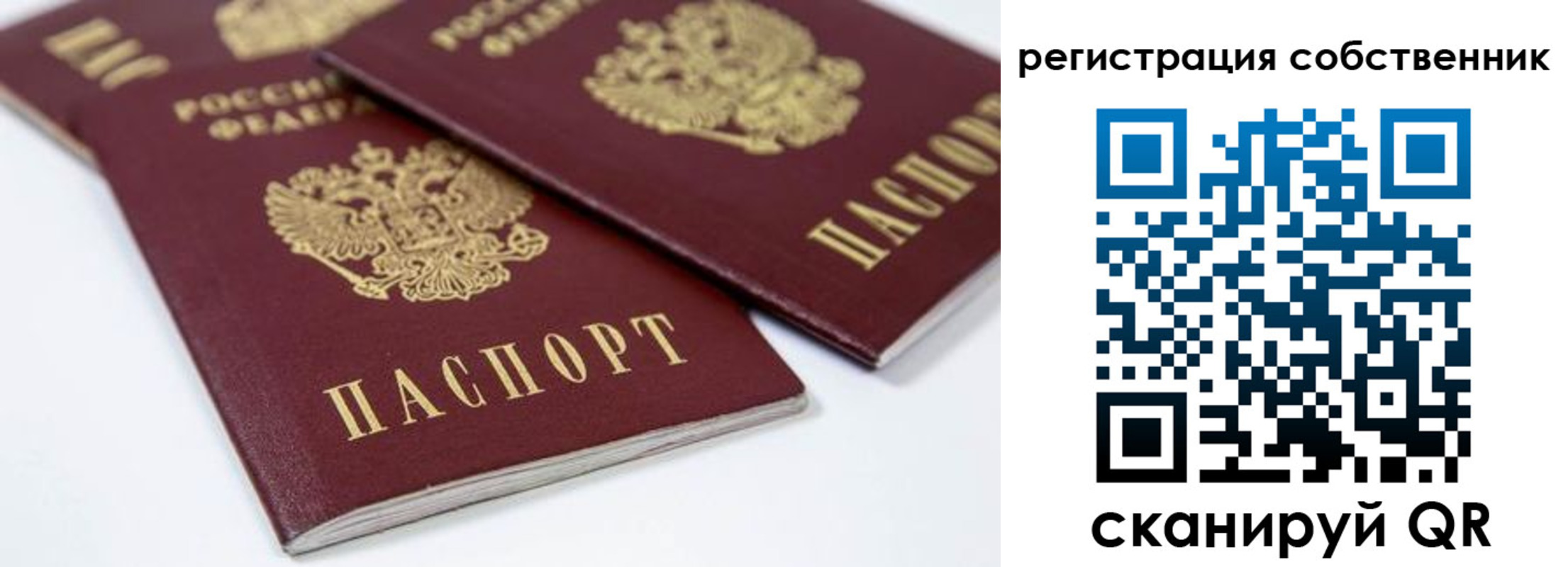 прописка для школы в Наволоках